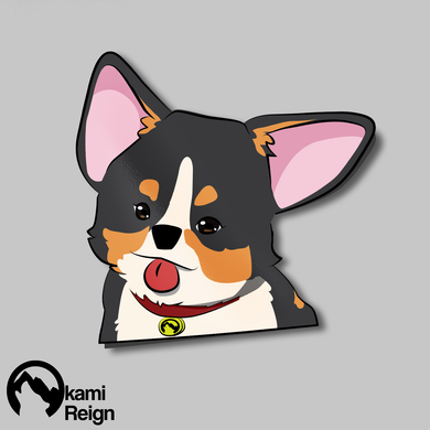 Tricolor Corgi